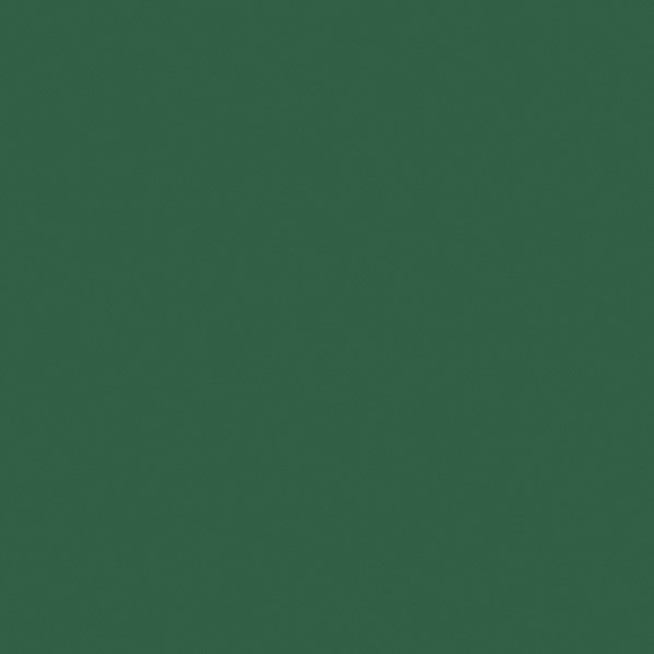 Farbe Maki Grüne Serviette 20er-Pack 33x33 cm
