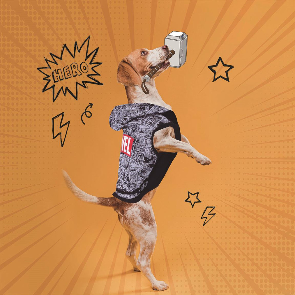Avengers Comic Marvel Hundekleidung, Hundepullover S