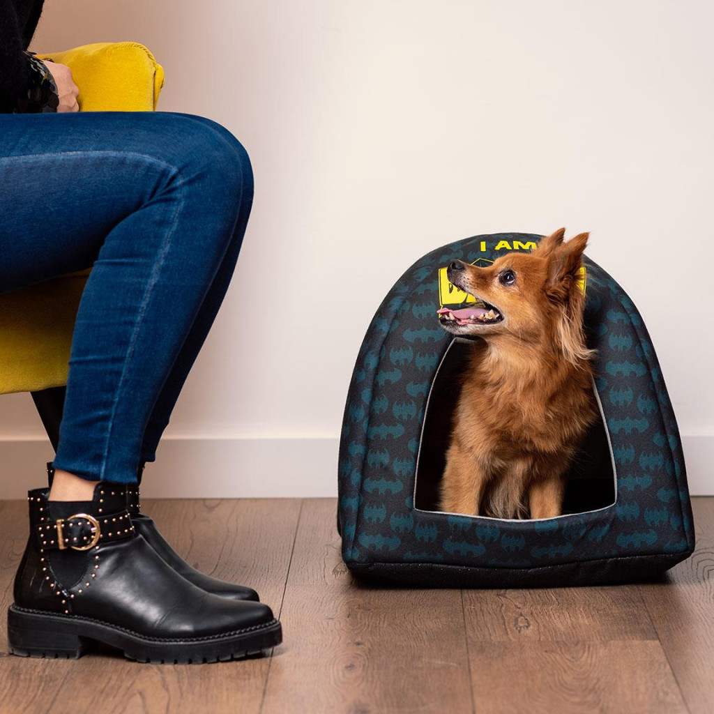 Batman Boom Haustierbett 38 cm