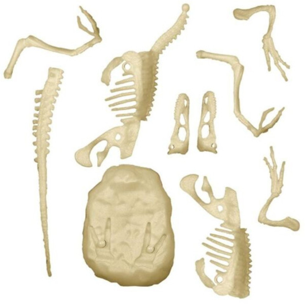 Dinosaurier Archeo Fun Leuchtendes Velociraptor Ausgrabungsset Clementoni