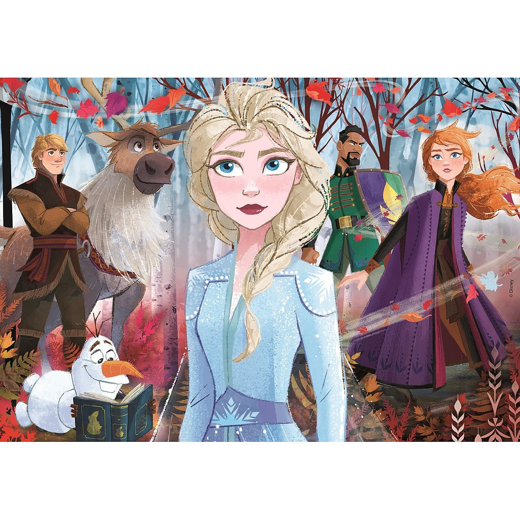 Disney Eiskönigin Echoes 2x20 Teile Puzzle Clementoni