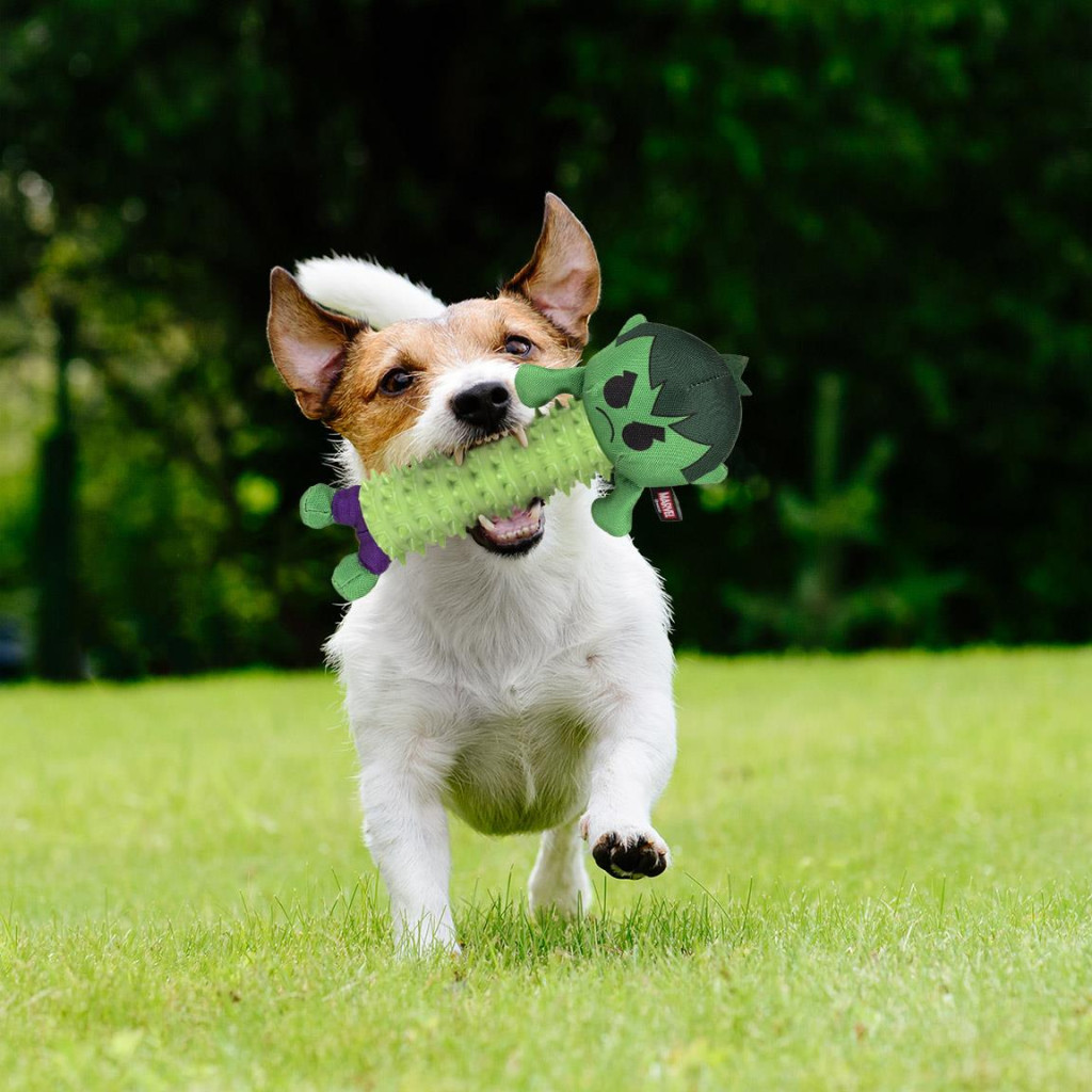 Avengers Hulk Hundespielzeug