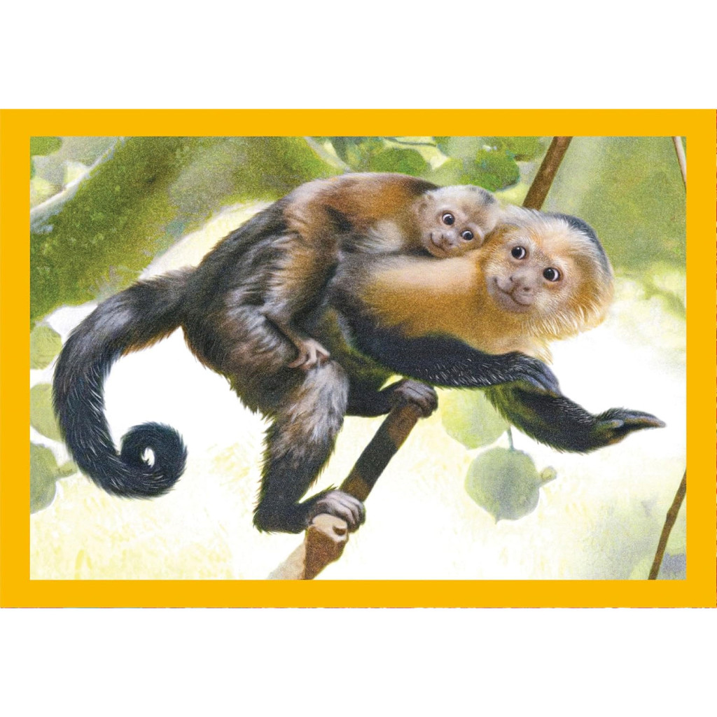 Tiere Baby Cuddles 4 in 1 Puzzle Clementoni