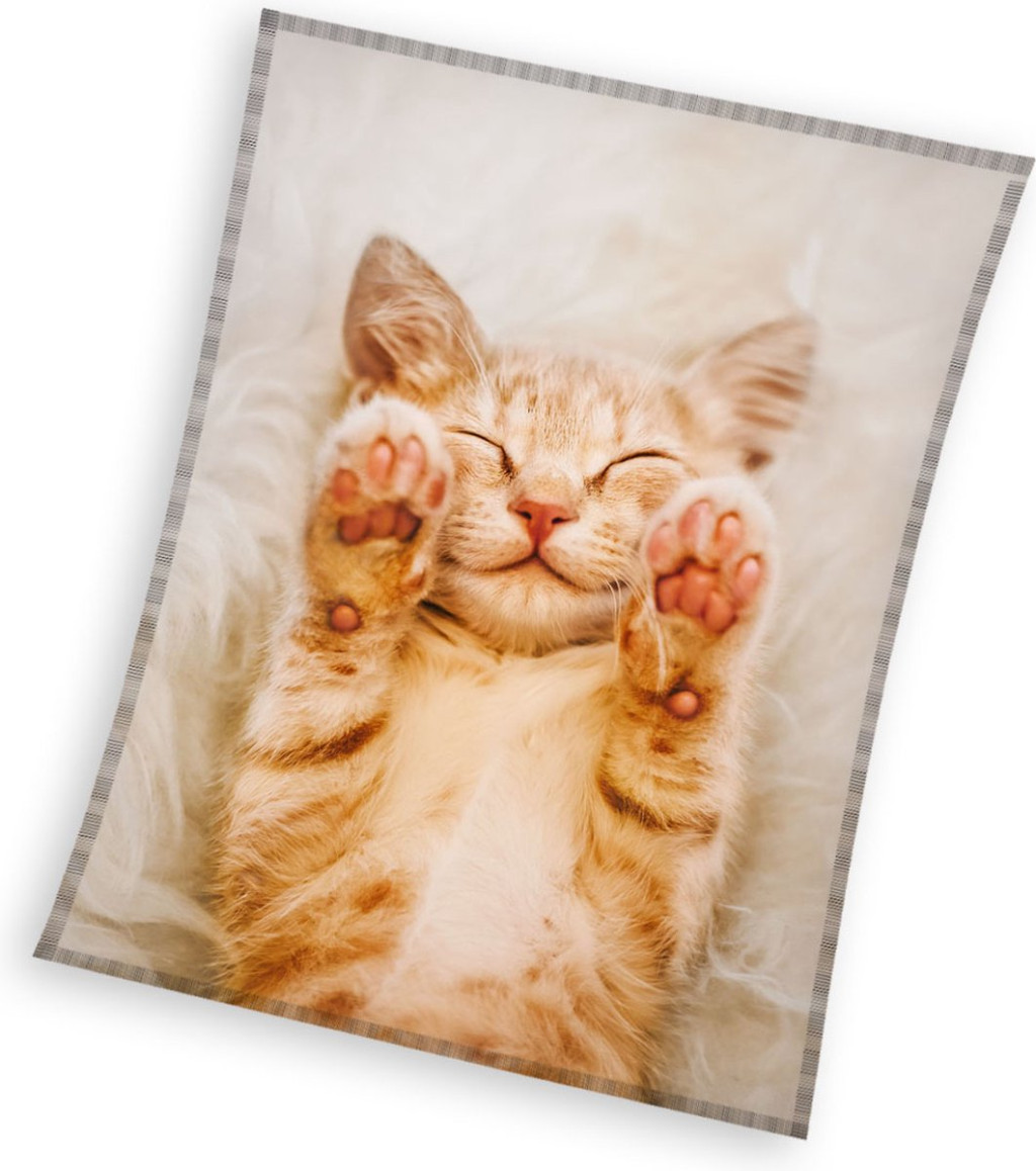 Katze Fluffydream Coral Fleece Decke 130x170cm