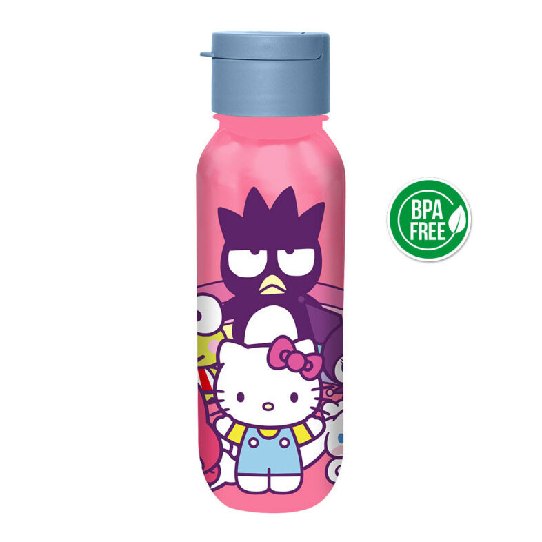 Hello Kitty and Friends Plastikflasche 500 ml