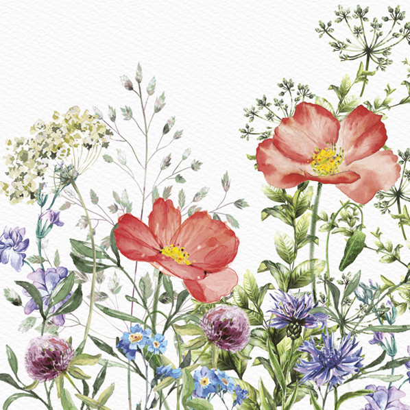 Blume Meadow in June Serviette 20 Stk 33x33 cm