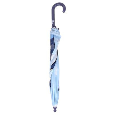 Bluey Kinder transparenter Regenschirm Ø71 cm