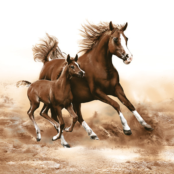Pferd Mare with Foal Serviette 20 Stk 33x33 cm