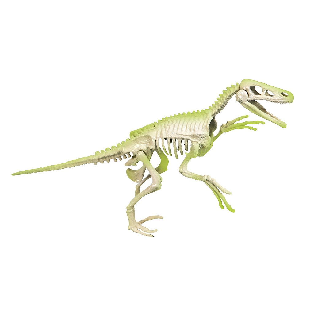 Dinosaurier Archeo Fun Leuchtendes Velociraptor Ausgrabungsset Clementoni
