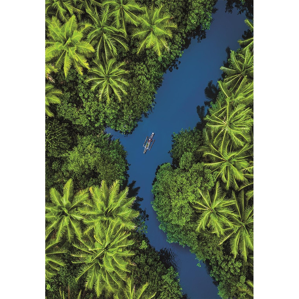 Farbe Aerial View Tropischer Fluss 500-teiliges Compact Puzzle Clementoni