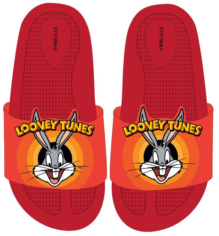 The Looney Tunes 3D Kinderhausschuhe 25-32