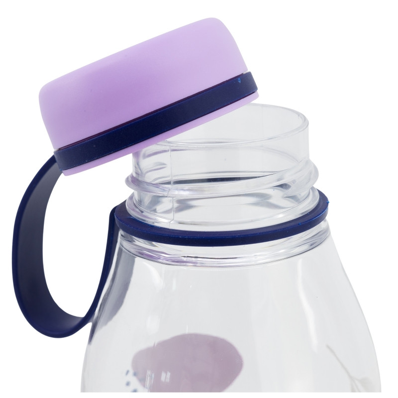 Disney Eiskönigin Adventure Ecozen Trinkflasche, Sportflasche 650 ml