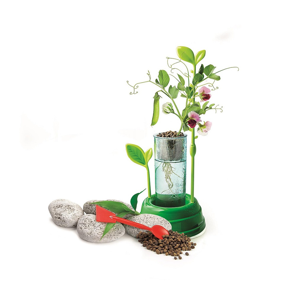 Farbe Science Botanisches Labor-Set Clementoni