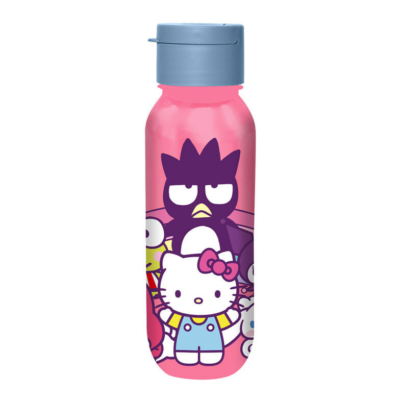 Hello Kitty and Friends Plastikflasche 500 ml