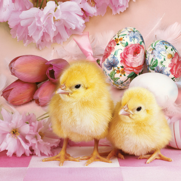 Ostern Lovely Chickens Serviette 20 Stk 33x33 cm
